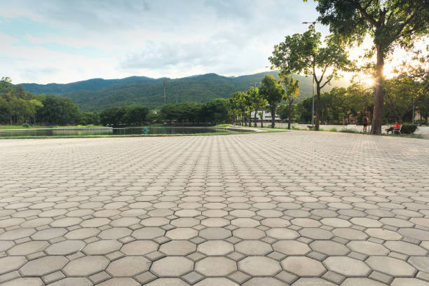 Best Concrete Paver Driveway  in Millington, TN