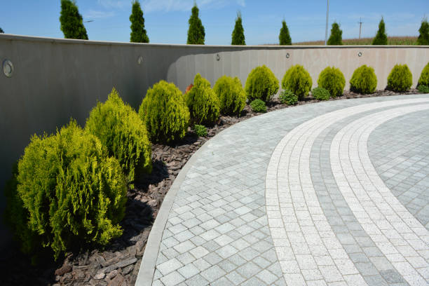 Best Residential Paver Driveway  in Millington, TN