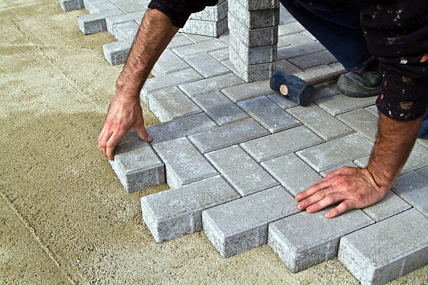 Best Local Driveway Pavers  in Millington, TN